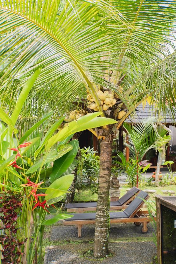 Mancur Guesthouse 乌布 外观 照片