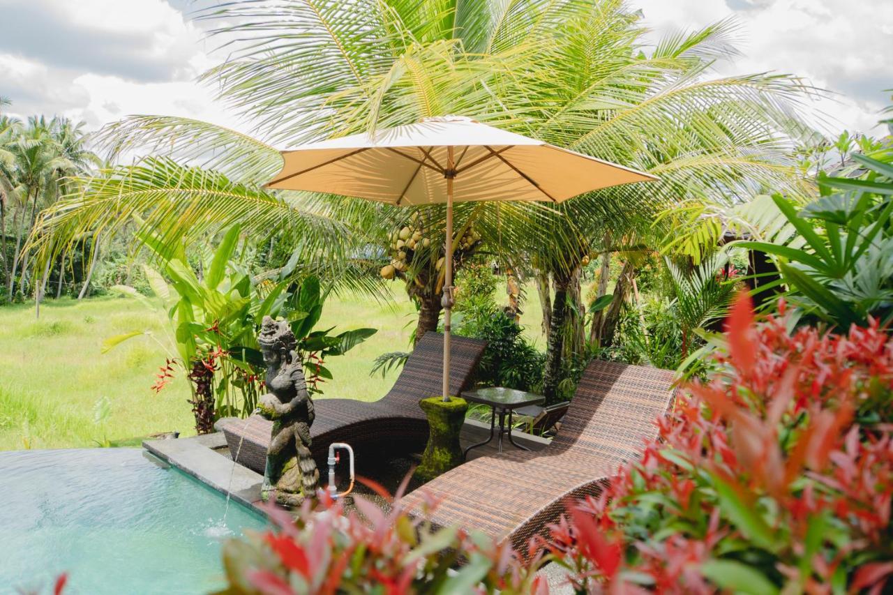 Mancur Guesthouse 乌布 外观 照片