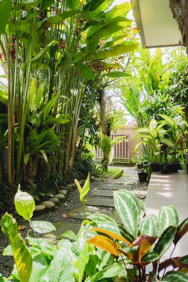 Mancur Guesthouse 乌布 外观 照片